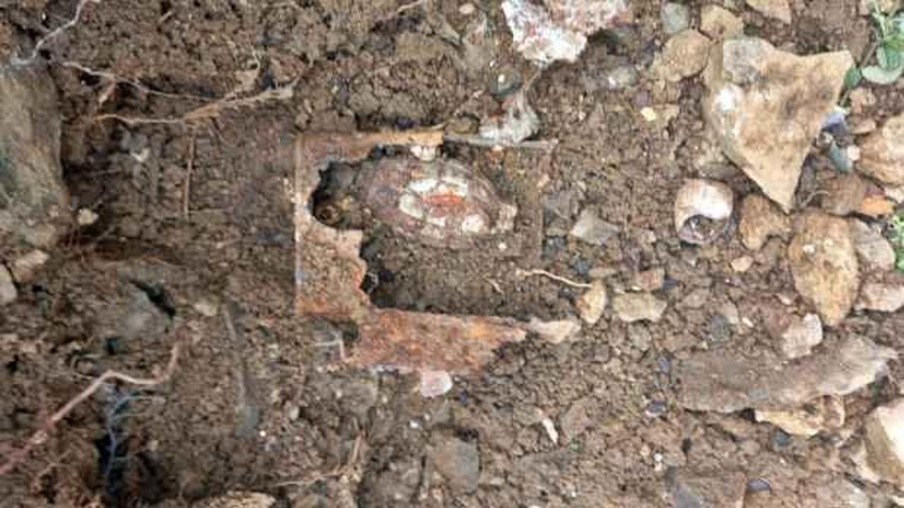 Sakarya'da bahçesini temizlerken el bombası buldu