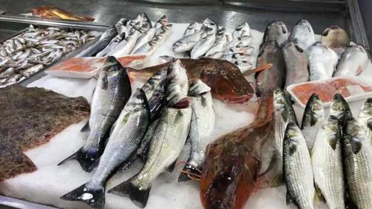 Sinop’ta nadir bulunan kırlangıç balıkları, kilosu 250 liradan satılıyor