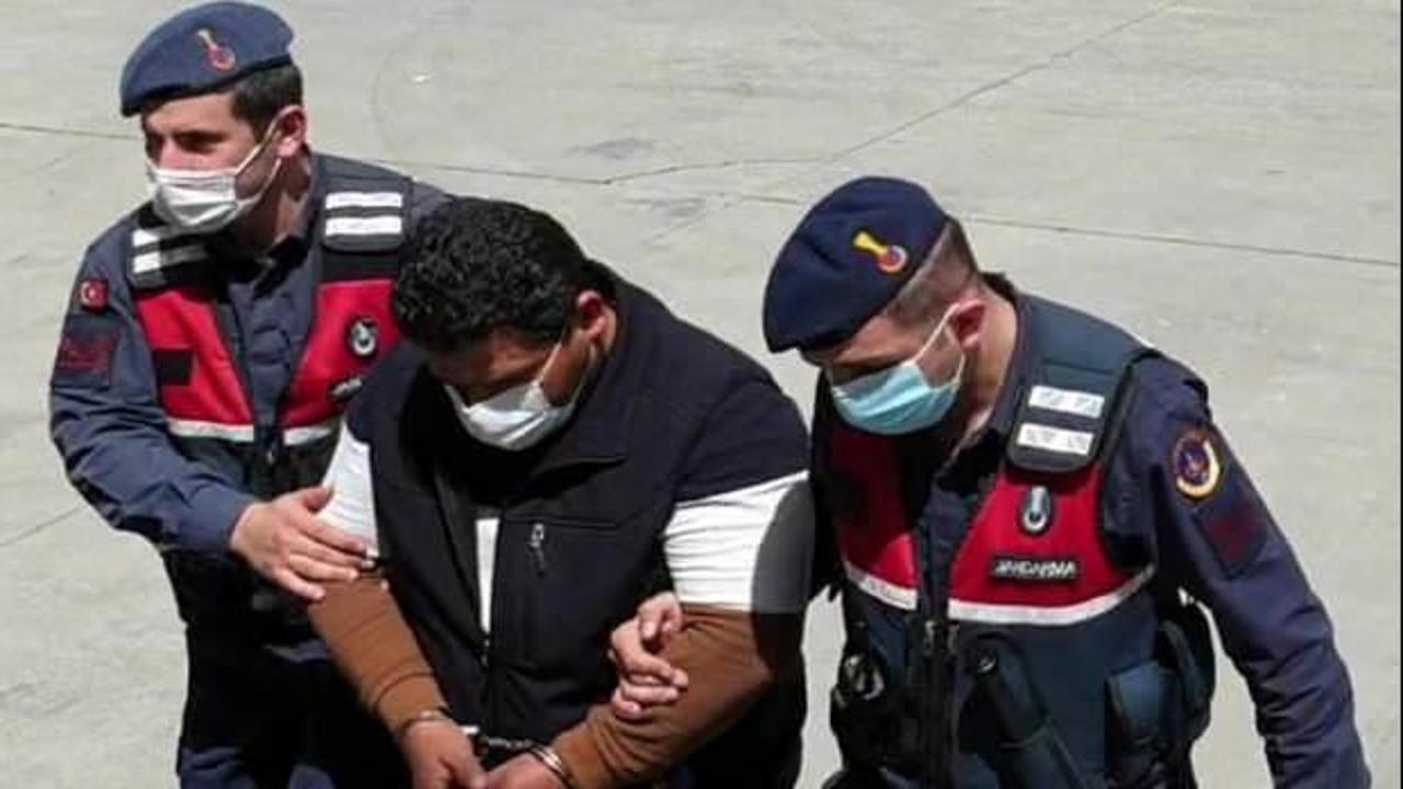 25 kişinin g&ouml;zaltına alındığı 3 milyon liralık orman vurgununda yeni gelişme