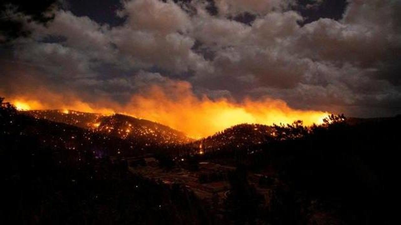 ABD'nin New Mexico eyaletindeki yangınlarda en az 13 bin dönüm arazi zarar gördü