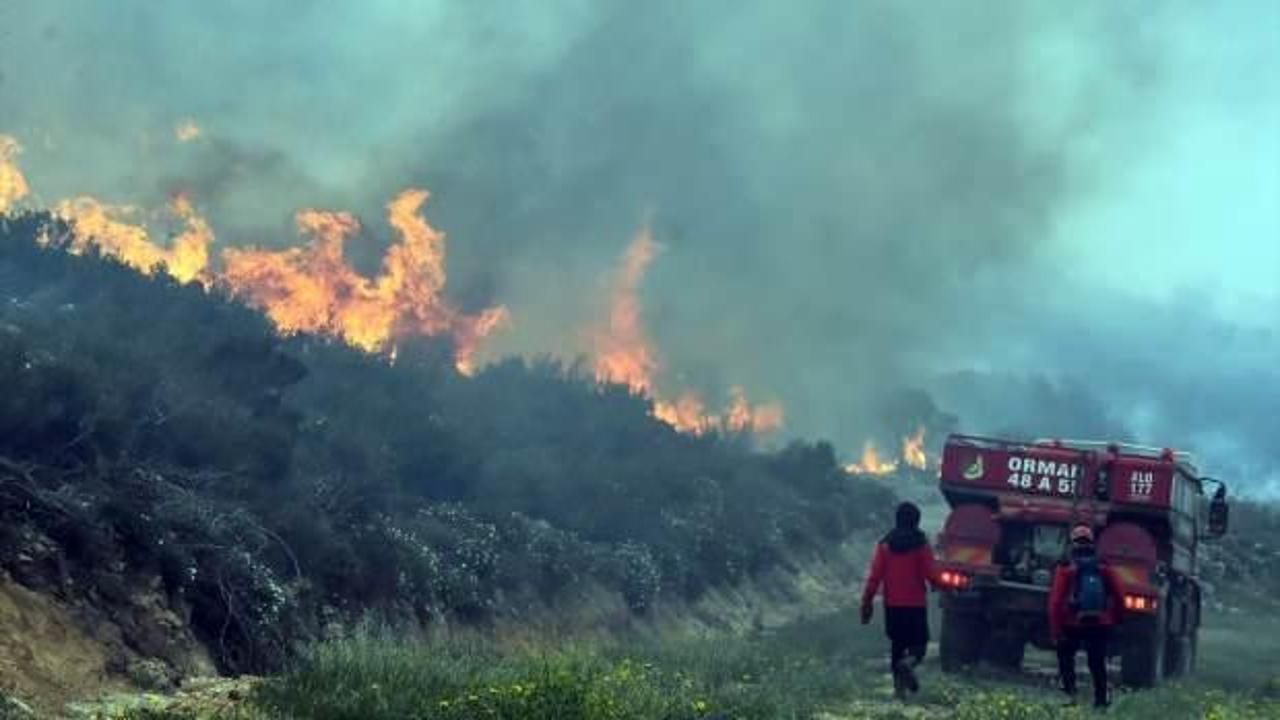 Bodrum'da korkutan yangın: Sabotaj ihtimali var