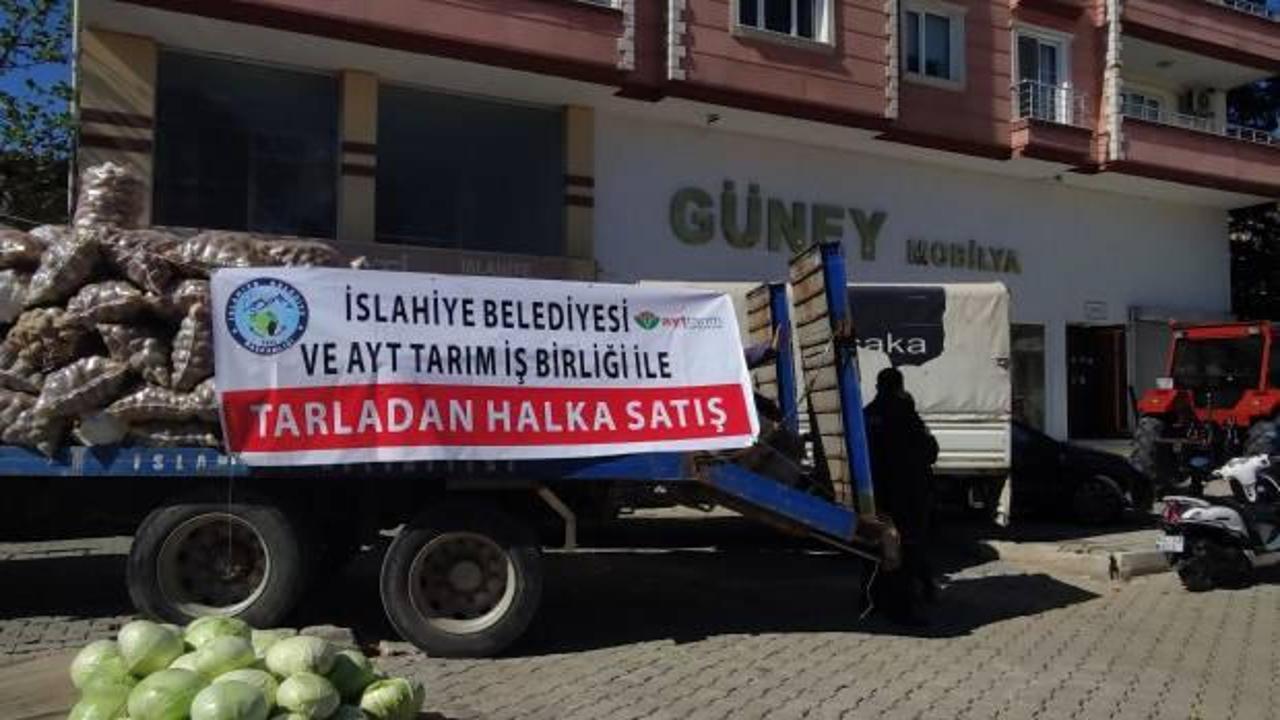 Gaziantep'te belediye eliyle tarladan halka sebze satışı 