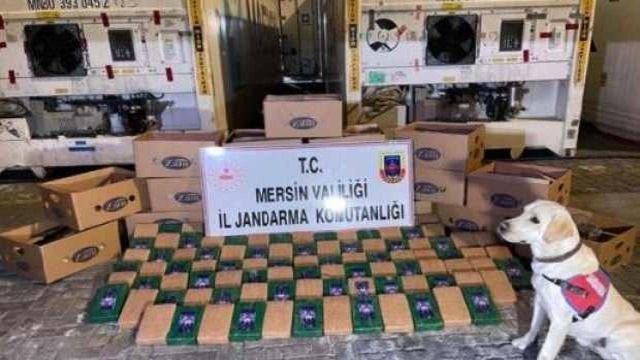 Mersin Limanı'nda 258 kilo kokain ele geçirildi