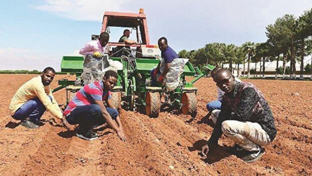 Somali’den Türk çiftçisine davet