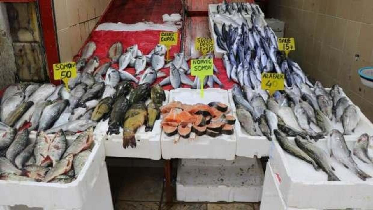 Balık tezgahları kültür balıklarına kaldı