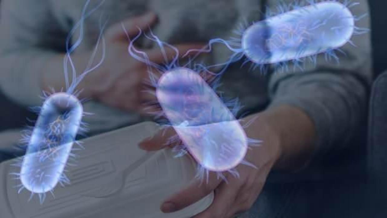 Salmonella bakterisi nedir ve nasıl bulaşır? Salmonella bakterisi Türkiye'de var mı? Belirtileri...