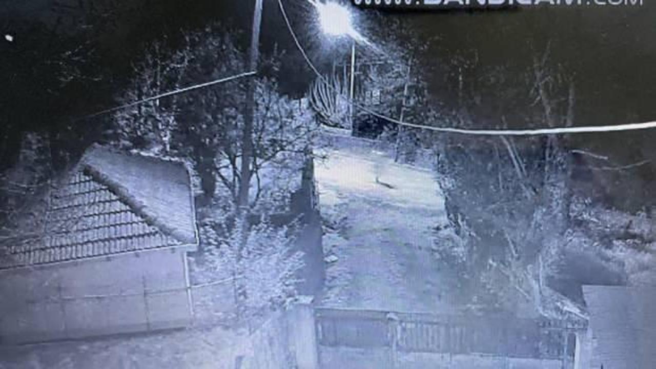 Zonguldak&rsquo;ta y&uuml;rekleri ağıza getiren koşturmaca! &Ccedil;ocuklar ka&ccedil;tı, k&ouml;pekler kovaladı     