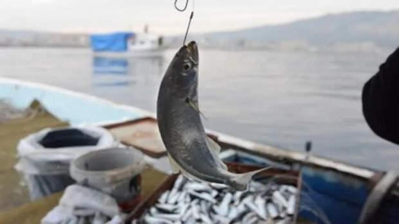 Adana'da yasa dışı avlanan 6 balıkçıya 65 bin lira ceza