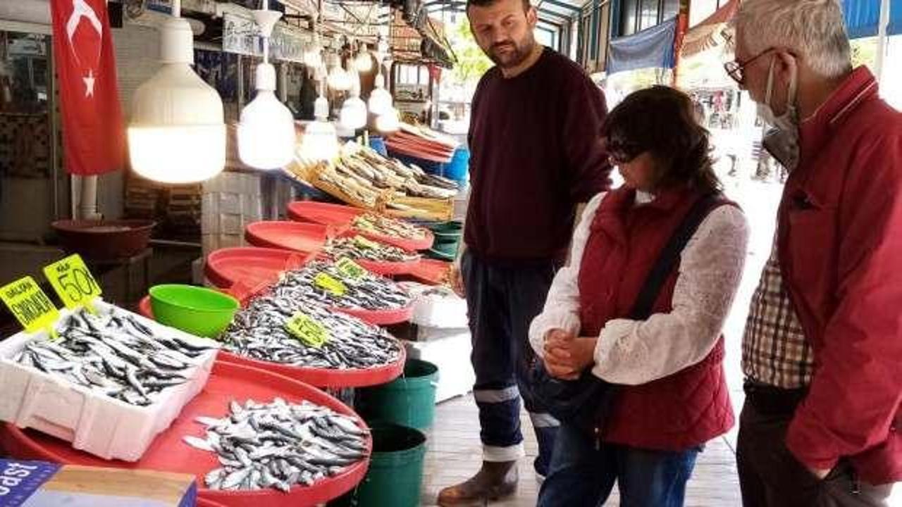 Balık halinde balık miktarı arttı, fiyatları düştü
