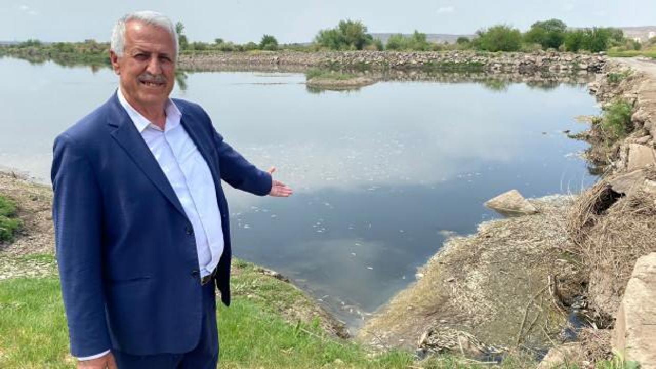 Dicle Nehri'ndeki balık ölümlerine inceleme