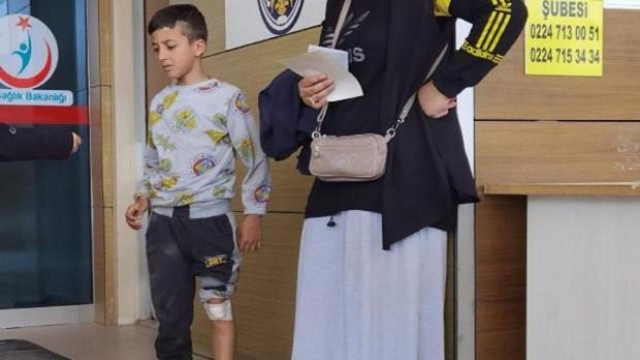 Bir köpek saldırısı haberi de Bursa'dan geldi: 7 yaşındaki çocuk yaralandı
