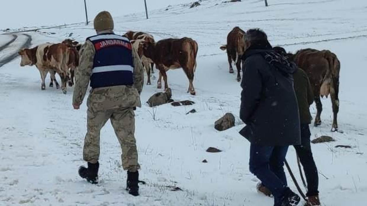 Ardahan'da hayvan otlatırken kaybolmuştu, yaşlı kadın bulundu