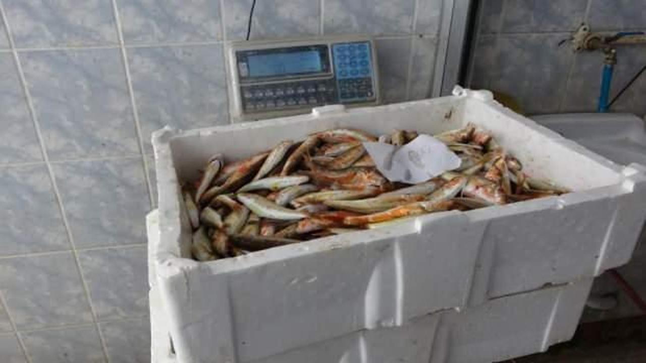 Balıkçılar, tezgâhlarını süslemek için mücadele ediyor