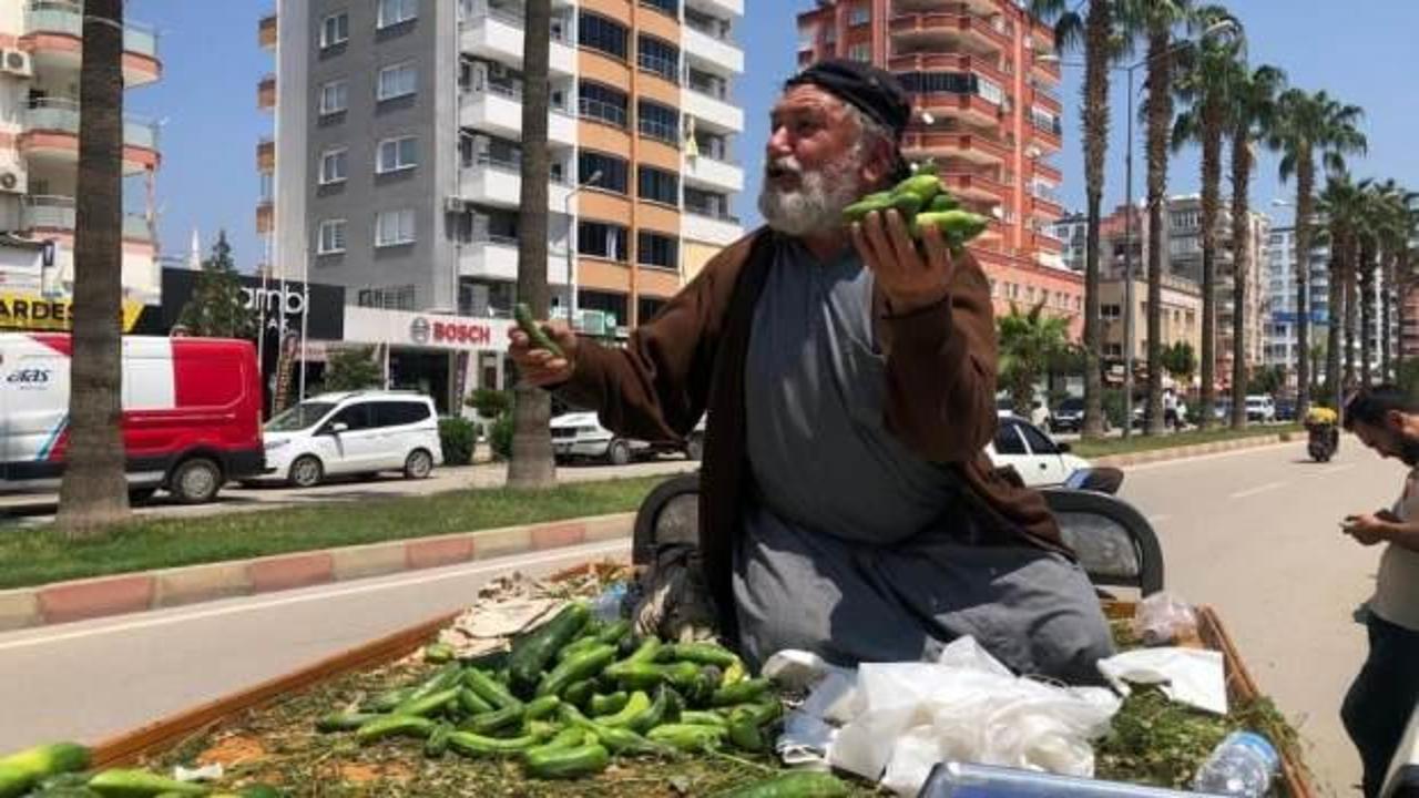 Parası olmayana bedava salatalık veriyor