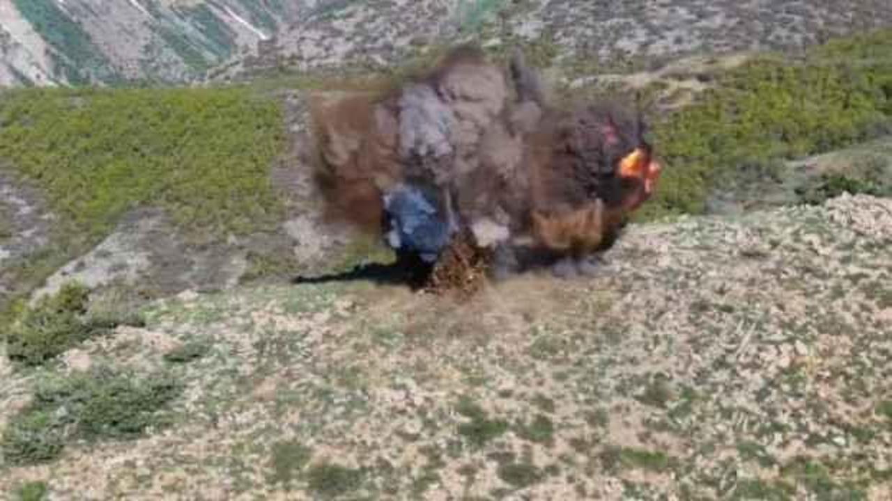 Tunceli'de 'Eren Abluka-7 Operasyonu'nda 6 sığınak imha edildi