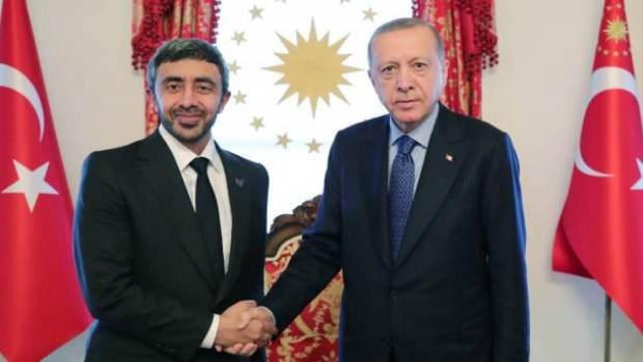 Başkan Erdoğan, BAE Dışişleri Bakanı Al Nahyan'ı kabul etti