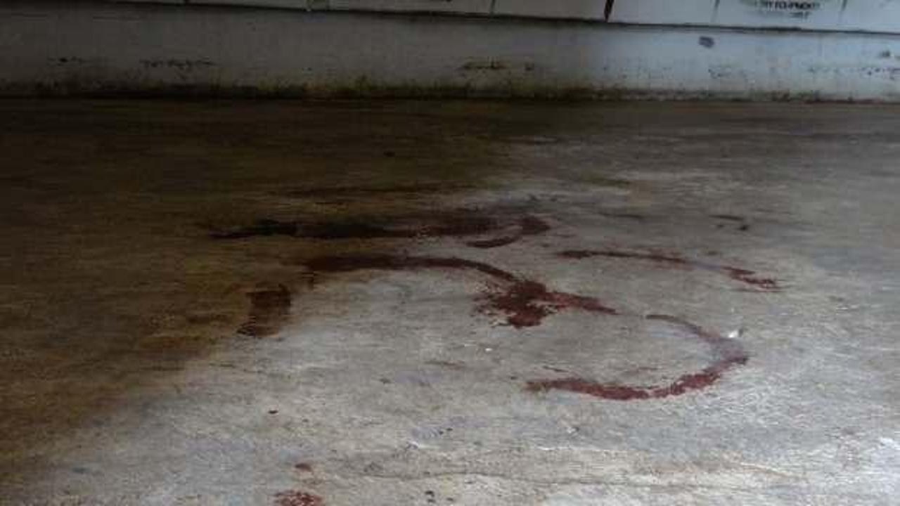 Çanakkale’de korkunç cinayet: Kadının başına kürekle vurarak öldürdü, gözlerini oydu