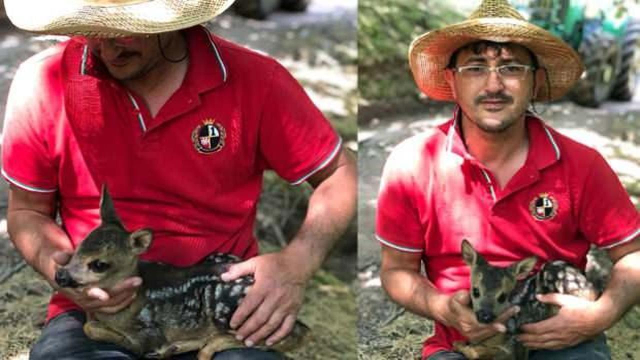 Karasu&rsquo;da &ccedil;ukura d&uuml;şen yavru karaca kurtarıldı