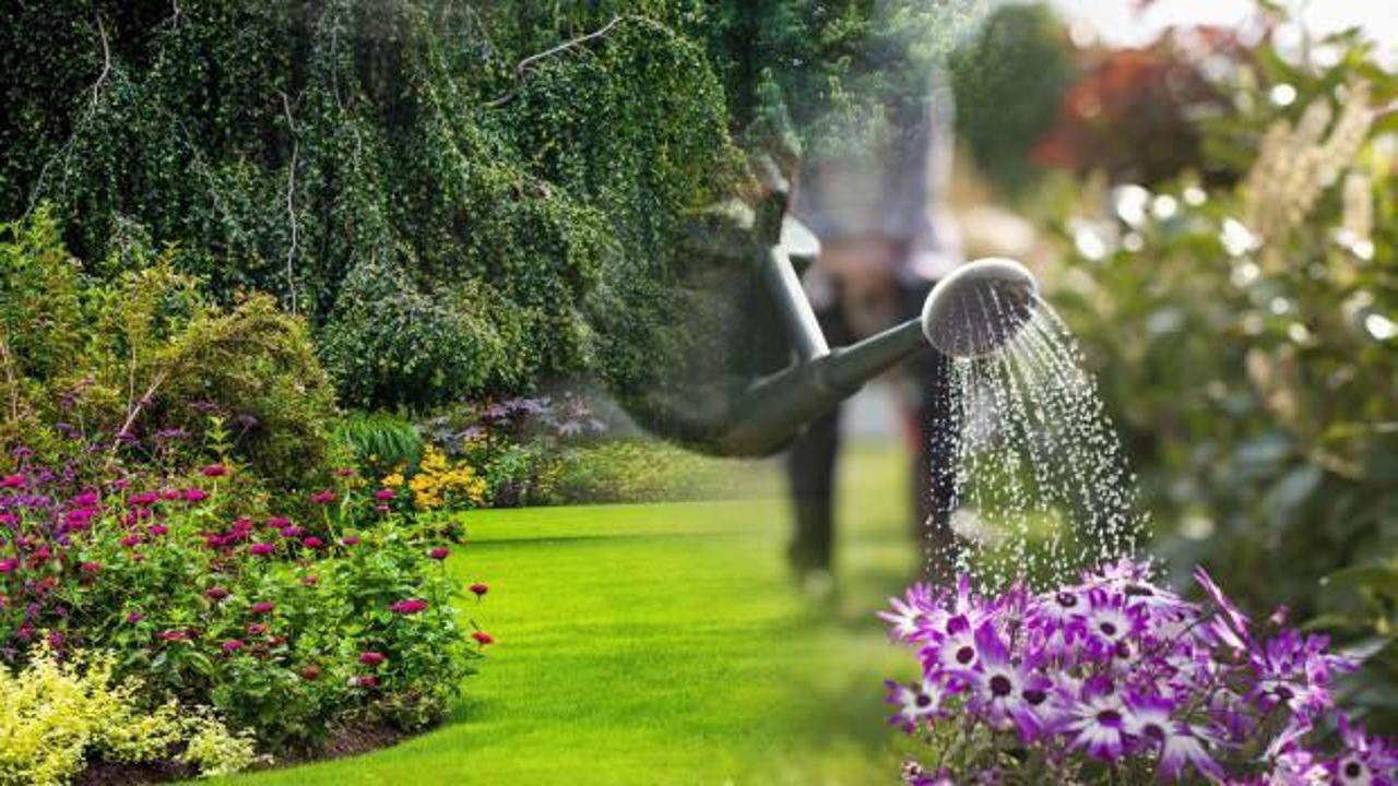 Rüyada bahçede gezmek neye işaret eder? Rüyada bahçe sulamak ne anlama gelir?