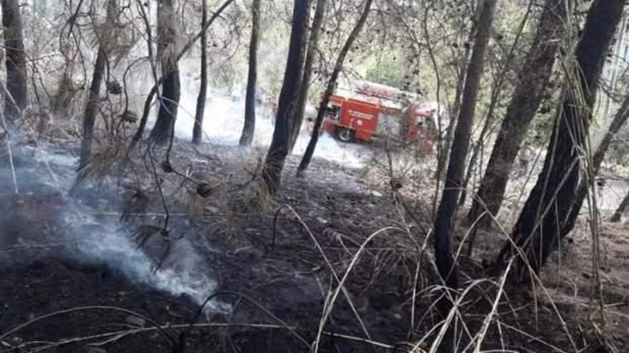 Son dakika: Fethiye'de orman yangını! Ekipler teyakkuzda
