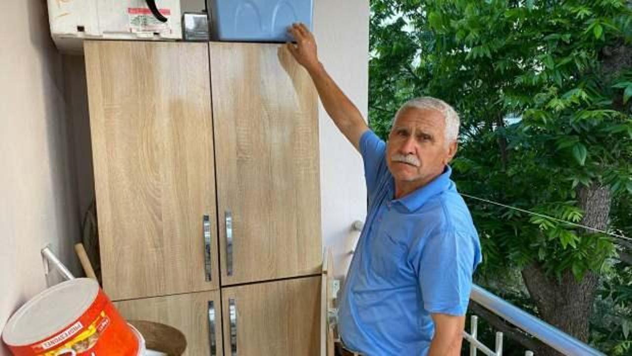 Balkonuna yuva yapan ser&ccedil;enin yavrularını koruma altına aldı!