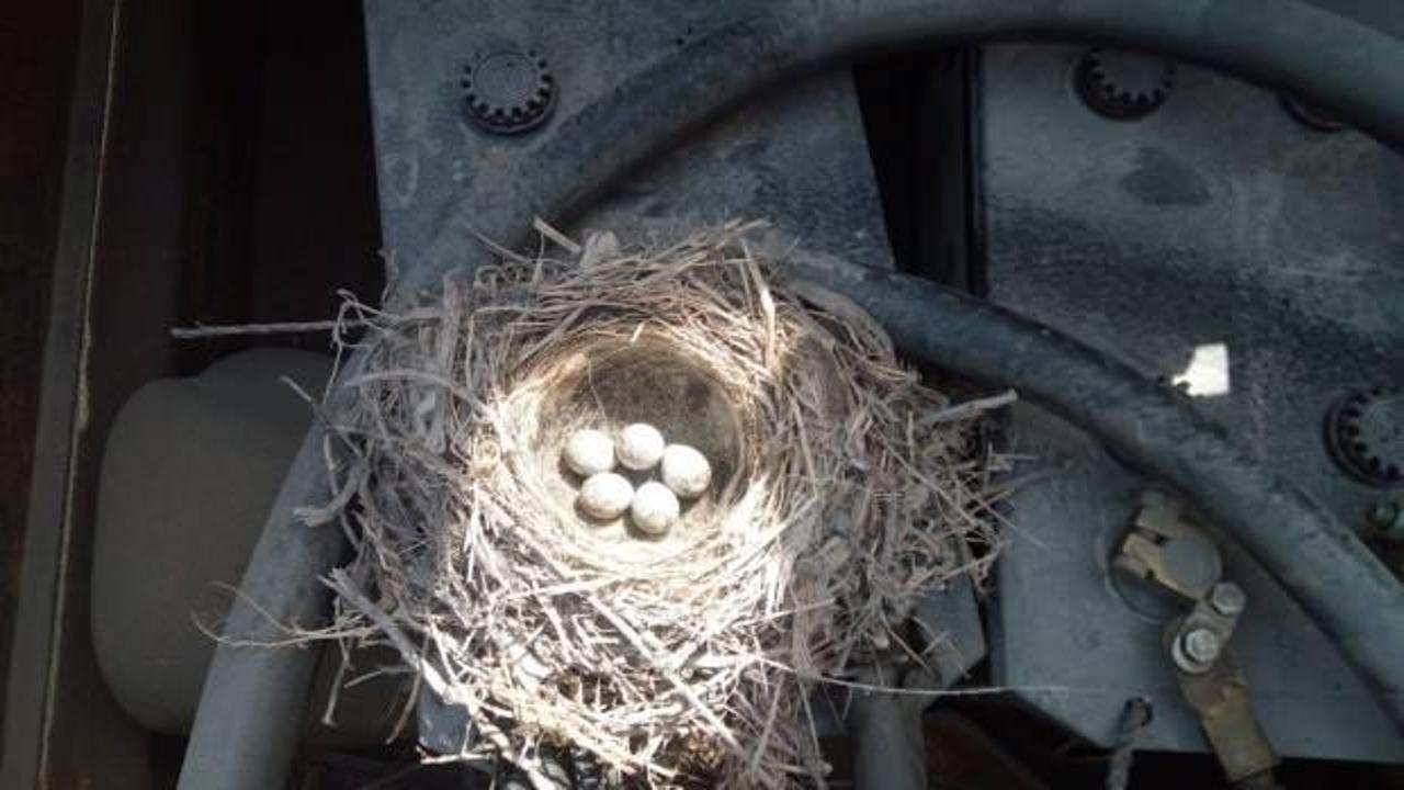 Batman&rsquo;da kuşlar motora yuva yaptı, &ccedil;alıştırmama kararı aldı