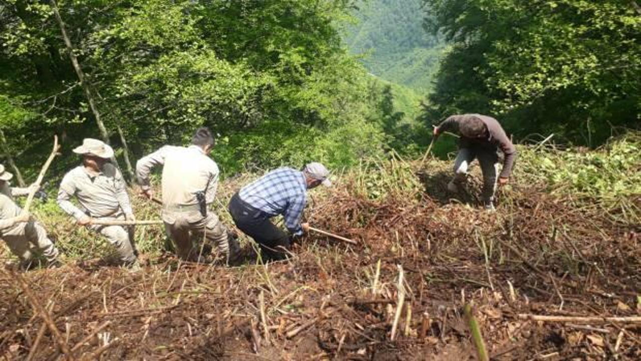 K&ouml;yl&uuml;ler bulmuştu! Kafatası ve kemikler 7 yıl &ouml;nce kaybolan Hasan Germi&ccedil;'e ait