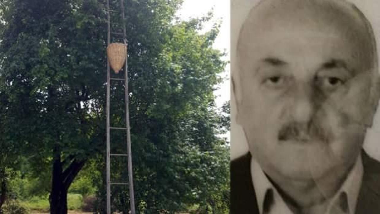 Sapanca&rsquo;da erik toplarken canından oldu 