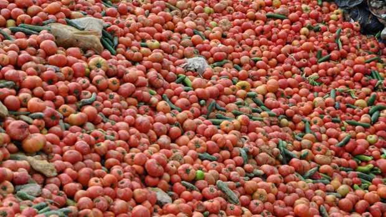 Çöpe dökülen domates ve salatalıklara ilişkin Bakan Muş'tan açıklama