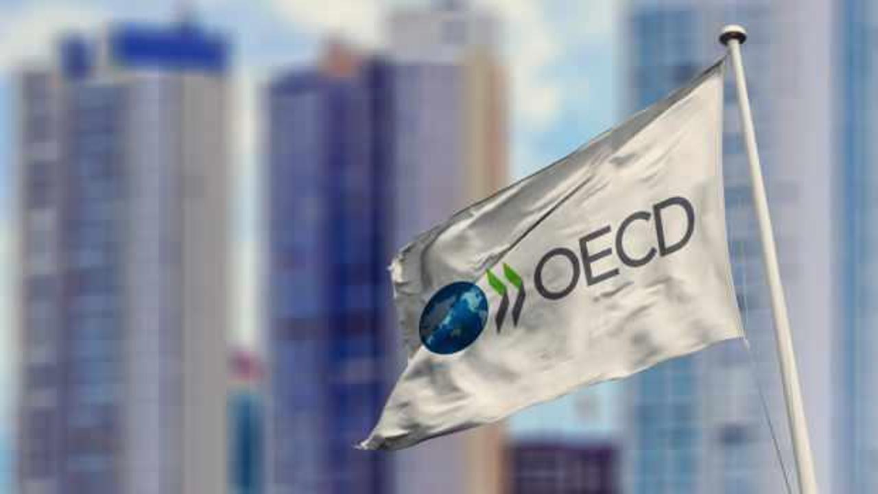 OECD Türkiye'nin büyüme tahminini yükseltti