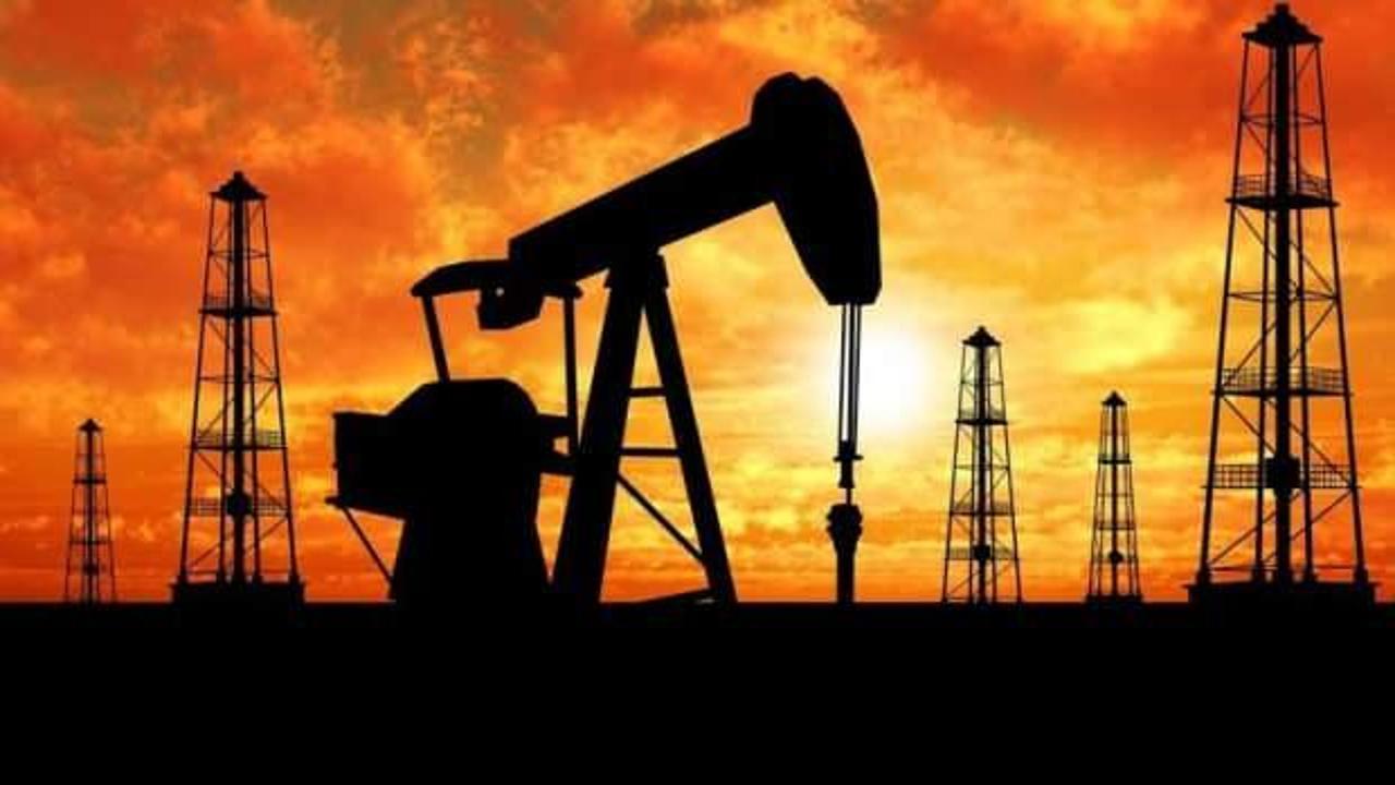 Rusya'nın Hindistan'a ham petrol satışı yüzde 658 arttı