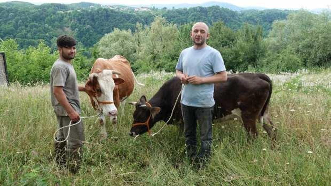 Yıldırım d&uuml;şmesi sonucu hayvanları telef olan besiciye yardım eli meslektaşından geldi