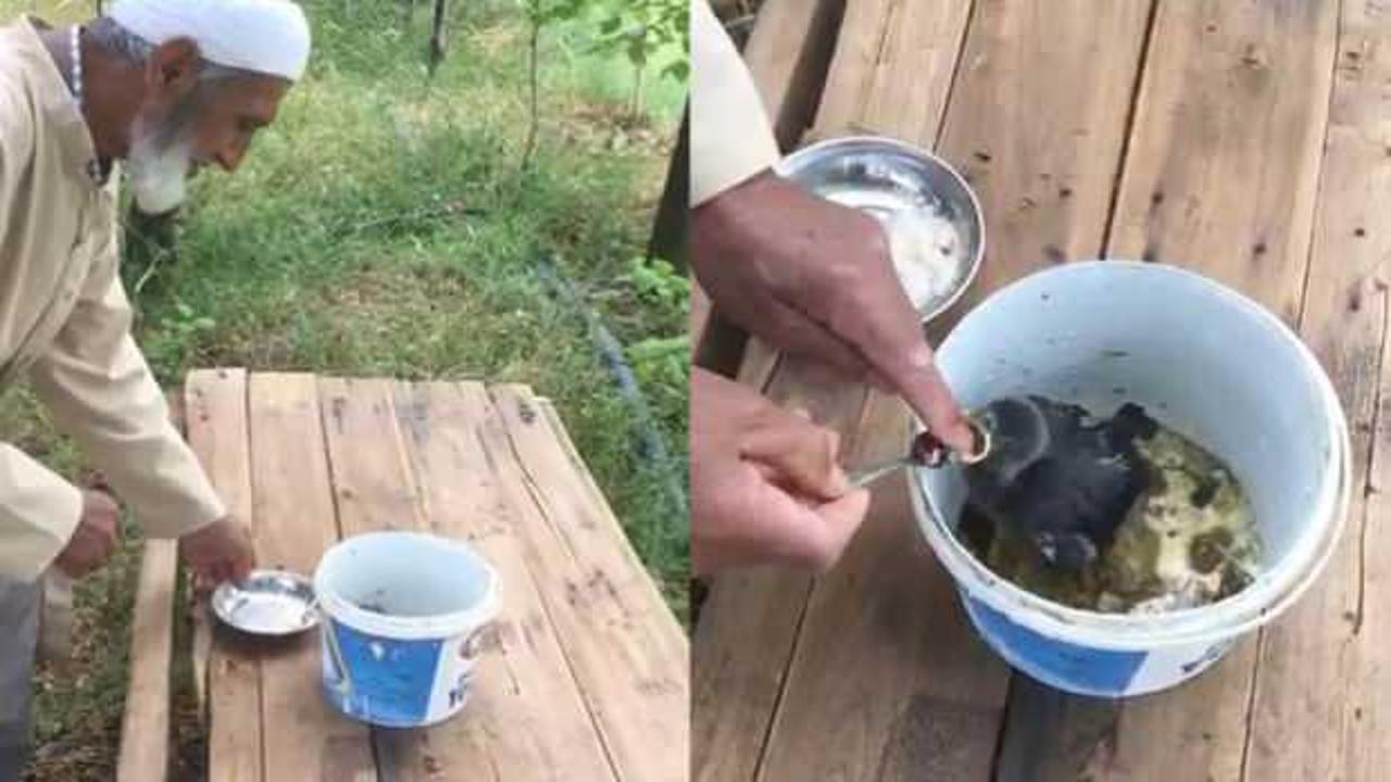 Elazığ&rsquo;da Akif Amca, yavru kargayı g&ouml;z&uuml; gibi besliyor   