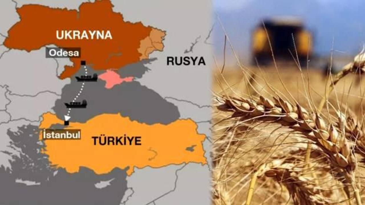 Türkiye'nin başlattığı tahıl koridorunda sona doğru