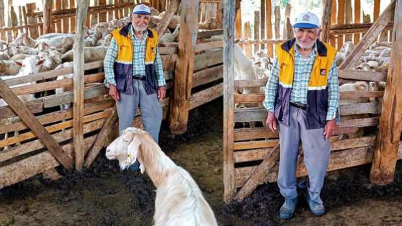 Tek ge&ccedil;im kaynağı hayvancılıktı! Mehmet Dede &ccedil;alınan s&uuml;r&uuml;s&uuml;ne kavuştu   
