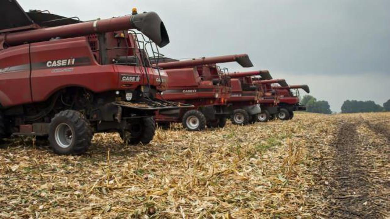 Ukrayna, ekilebilir tarım alanlarının yüzde 25’ini kaybetti