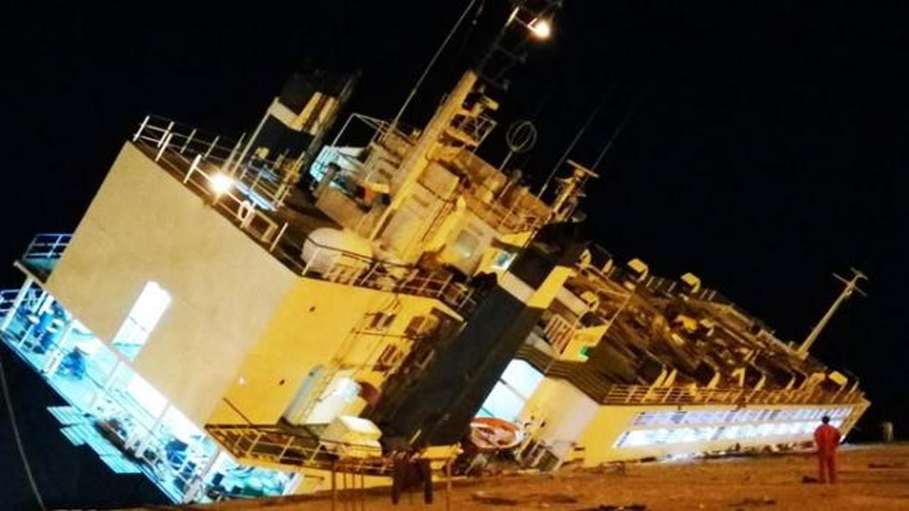 Ülke şokta: 16 bin küçük hayvan taşıyan gemi battı