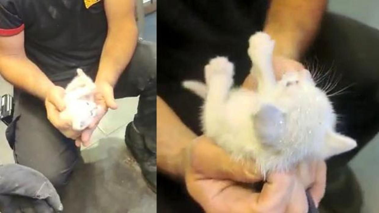 İzmit&rsquo;te kedi kurtarma operasyonu! Kolon arasında mahsur kaldı