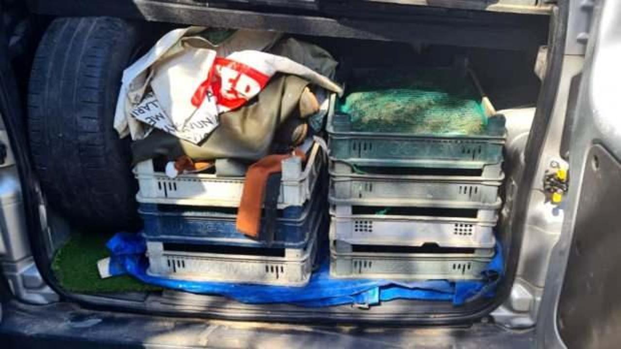 Kaçak kurbağa avcılarına 110 bin TL ceza