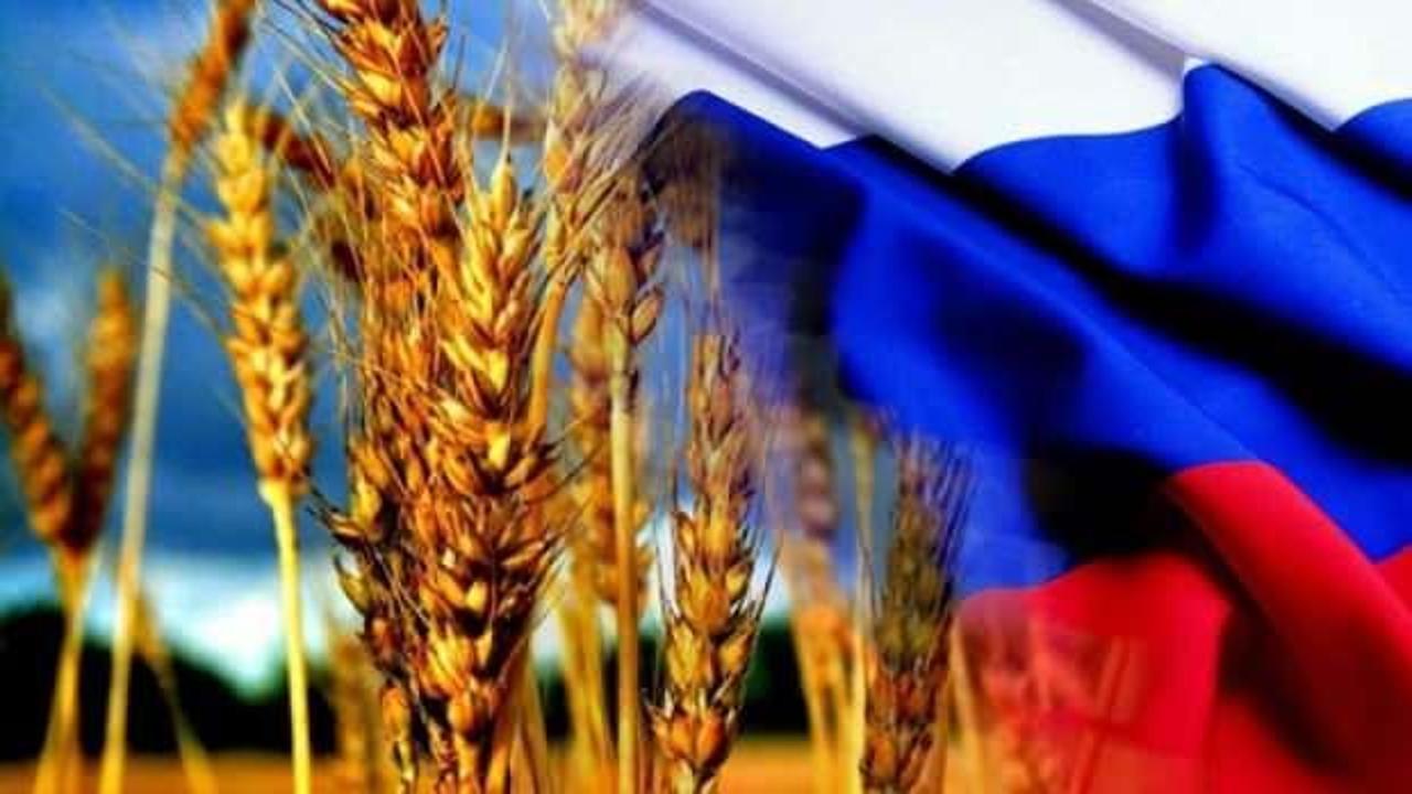 Rusya'dan açıklama: Biz Ukrayna'dan tahıl çalmadık
