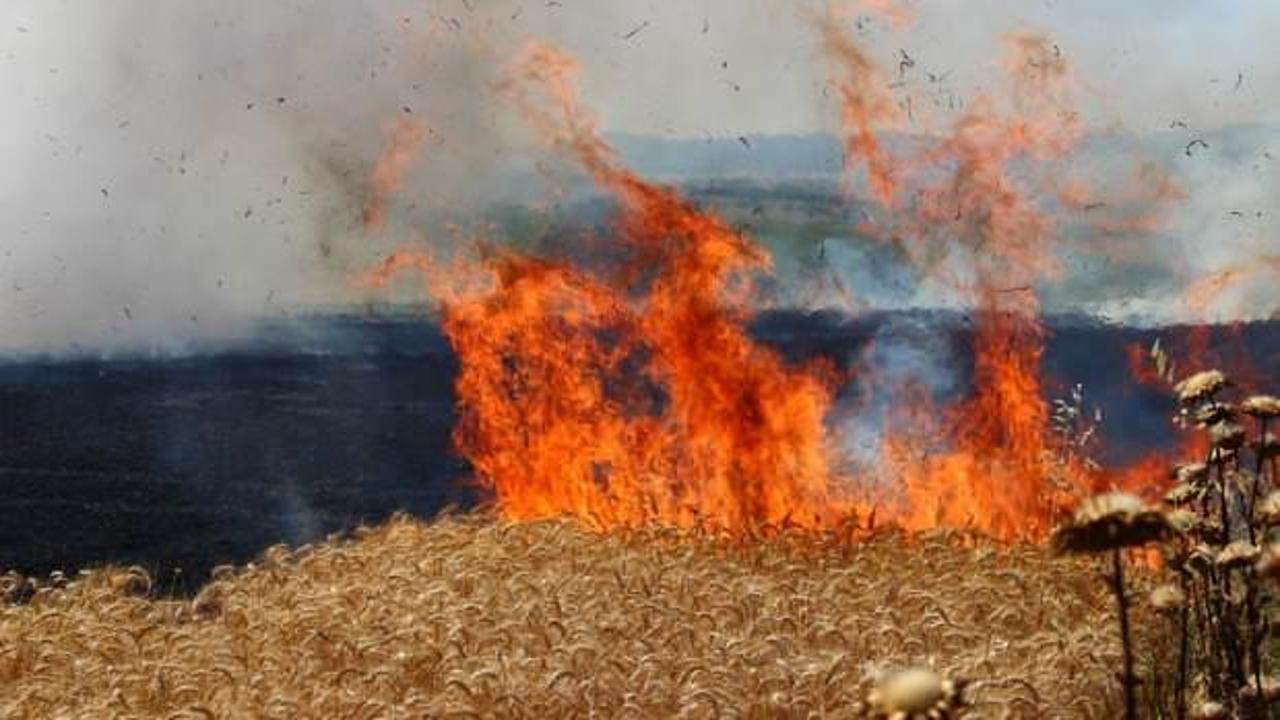 Tekirdağ'da buğday ve arpa ekili 100 d&ouml;n&uuml;m tarla yandı 