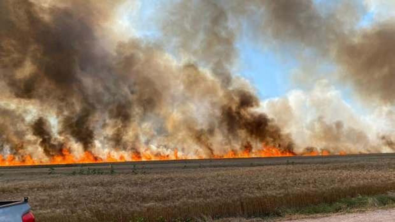 Buğday tarlalarında esrarengiz yangınlar: 15 dakikada küle döndü