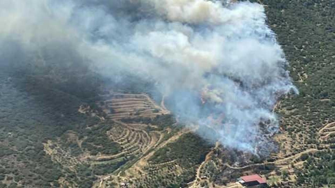 İzmir’de iki orman yangını