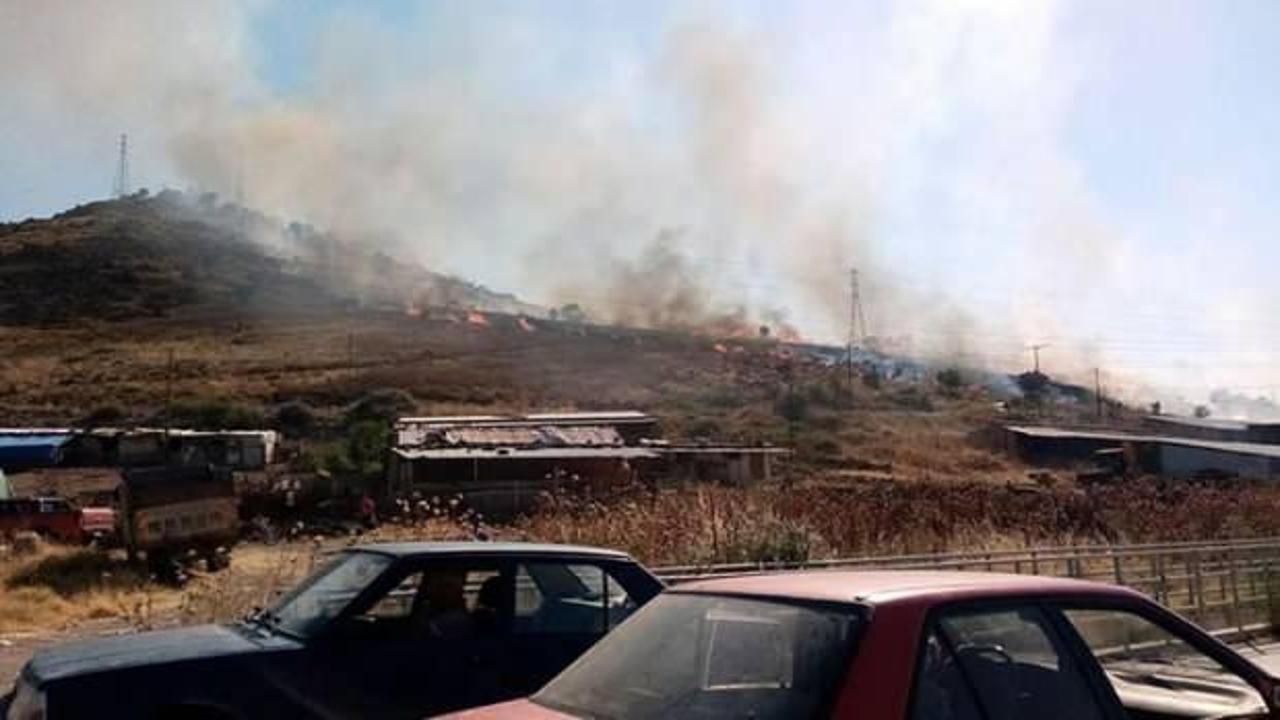 İzmir'in iki ilçesinde orman ve otluk yangını