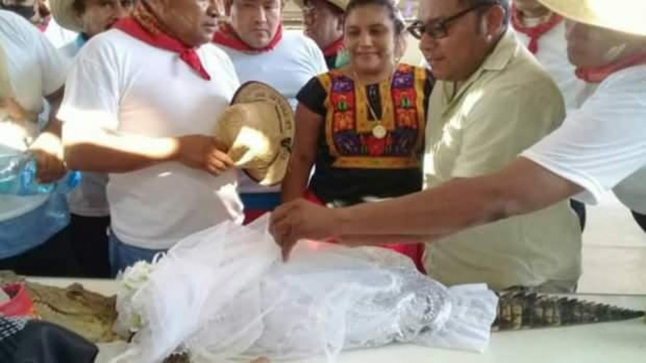 Meksika’da belediye başkanı timsahla evlendi