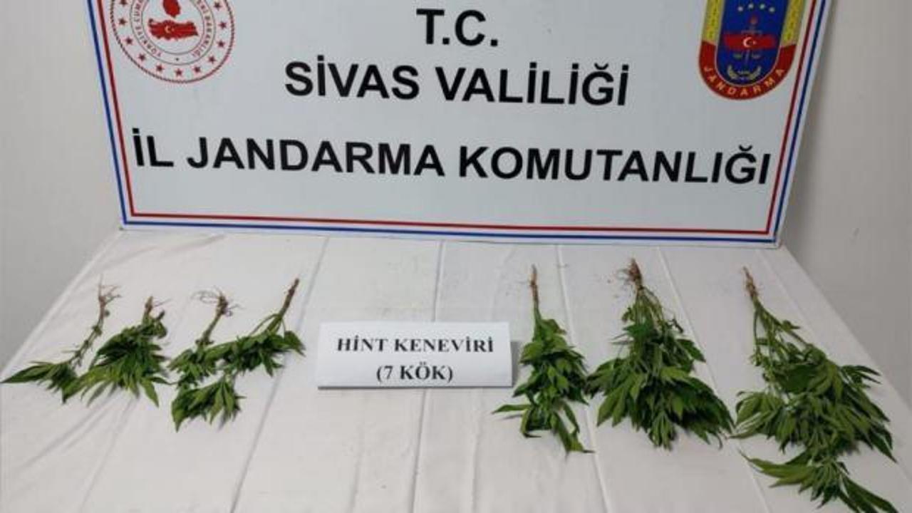 Sivas'tan operasyon haberi: Jandarma harekete geçti