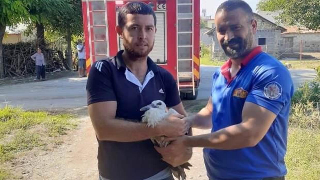 Osmaniye&rsquo;de yuvadan d&uuml;şen yavru leyleğin imdadına itfaiye koştu