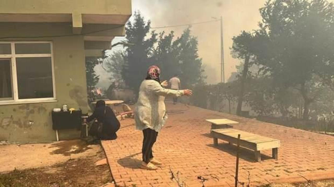 Son Dakika: Beykoz'daki orman yangını söndürüldü