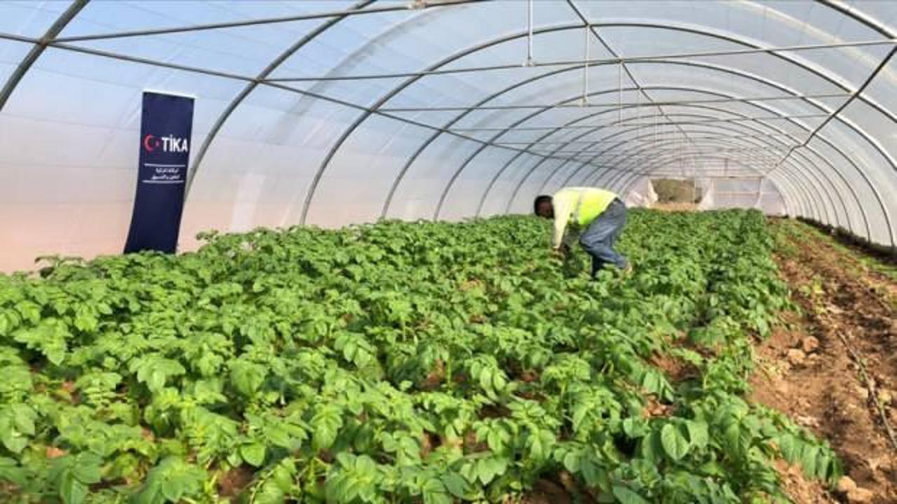 TİKA’dan Lübnan’ın tarım kapasitesine destek