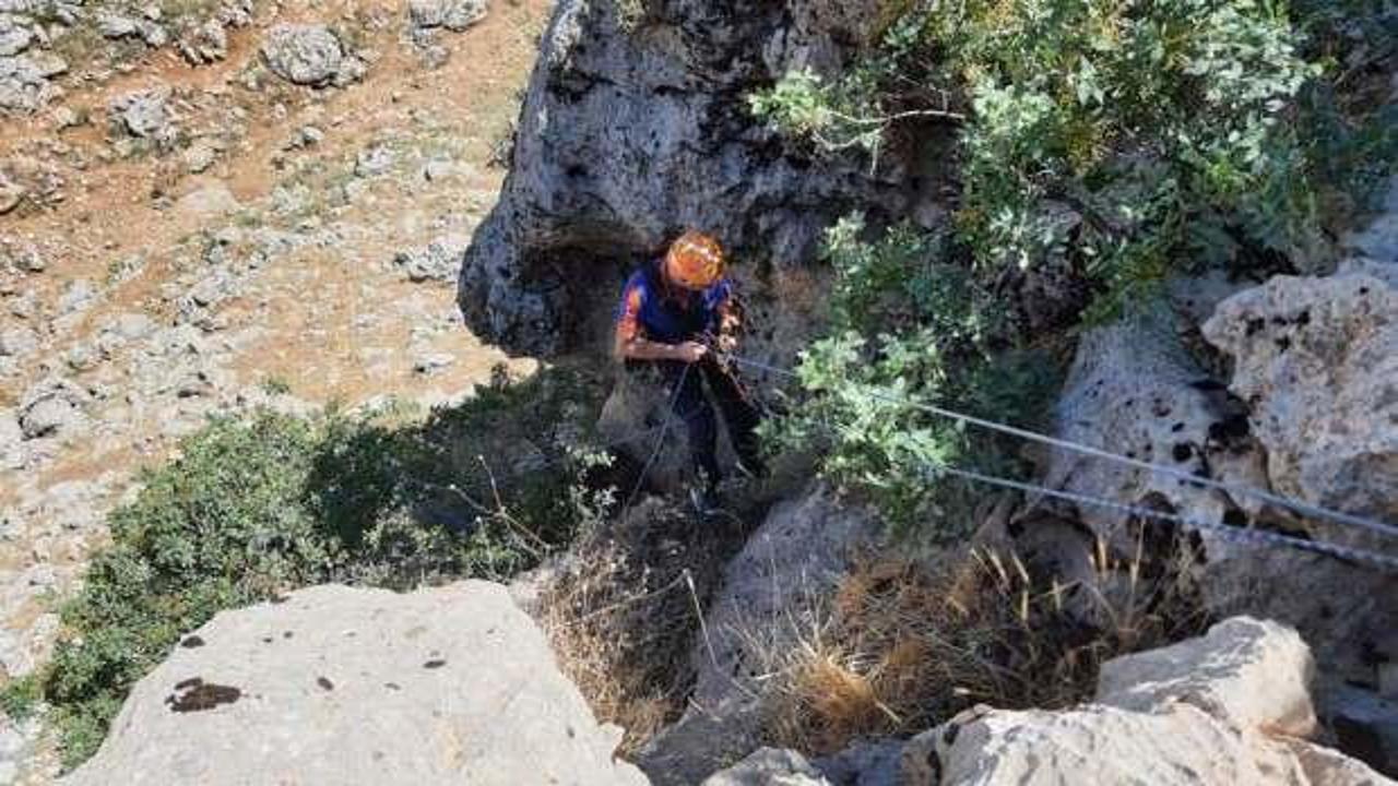 Mahsur kalan keçiler 5 gün sonra kurtarıldı